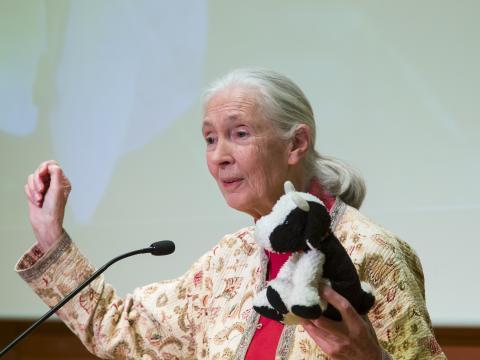 Jane Goodall
